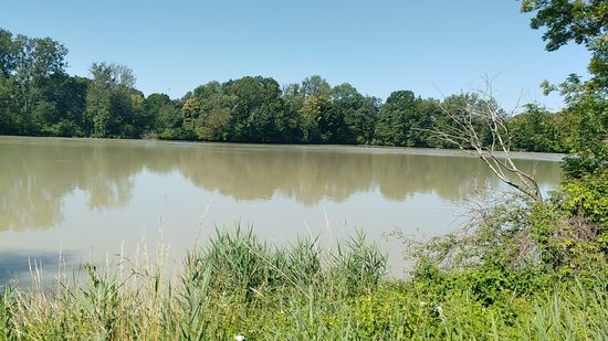 An den Lechauen bei Scheuring.