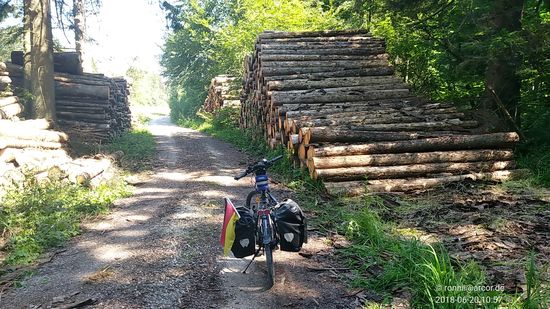 Etwas Schatten wirkt am späten Vormittag bei steigenden Temperaturen recht wohltuend.