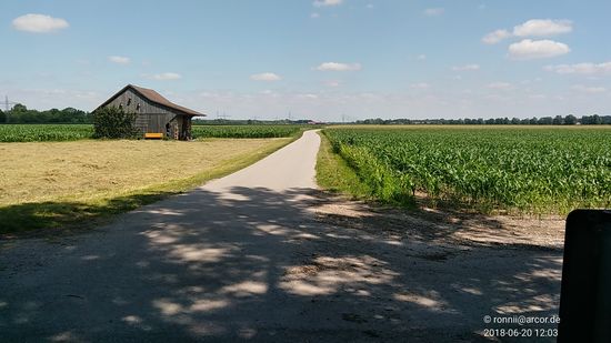Brettl-eben und nicht ganz schnurgerade geht es in Richtung Norden (Augsburg). Gut einen halben km links fließt der Lech, zur rechten Seite wurde die Ortschaft Prittriching passiert.
Auf der Südseite des Feldstadels ist eine sonnenbeflutete, helle Rastbank auszumachen, eine (nicht erkennbare) zweite solche unter dem schattenspendenden Vordach war zu diesem Zeitpunkt zu meinem "Leidwesen" von einem anderen Radler in Besitz genommen worden.