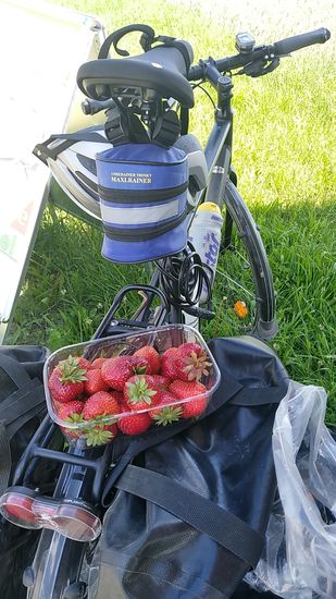Endlich !!!
Gleich rechts vom Kraftwerk gibt es Strohbeeren.