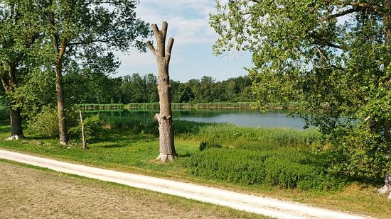 Ein kleiner bei Oberndorf links des Lechs.