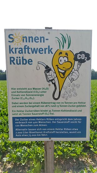 Werbung für Rübenanbau kurz vor Genderkingen.