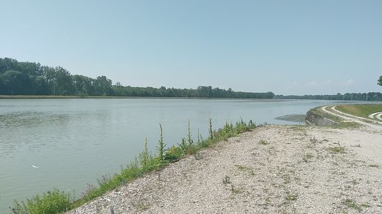 Blick zurück zum Stausee. Der westliche Dammweg entlang der Ruhezone für Wasservögel, also meine Fahrseite unterliegt während der Schutzzeit von Oktober bis April auf der gesamten Länge einem strikten Begehungsverbot.