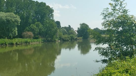 Die von links anströmende Donau wird bald wieder ein Stück mächtiger.