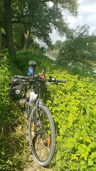 Von hinten strömt die Donau an. Als "Strom" gilt sie allerdings offiziell erst ab Passau.