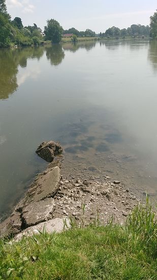 Nach dem Ende des Grüns fällt das Gelände zum eigentlichen Lechspitz ab.
Bei genauerer Betrachtung (evtl. Blickwinkel zum Monitor ändern) fällt übrigens in der Verlängerung des Lechspitzes die hellere bzw. trübere Optik des einmündenden Lechs auf.
Im Hintergrund vor der Baumgruppe verläuft die Straßenbrücke über die Donau von Rain am Lech nach Marxheim.
