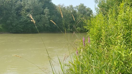 Nochmals einige der letzten Lechmeter im Querformat.