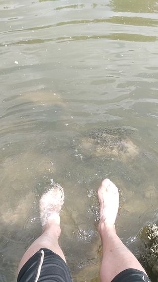 Als erstes eine Donau-Fußkühlung.