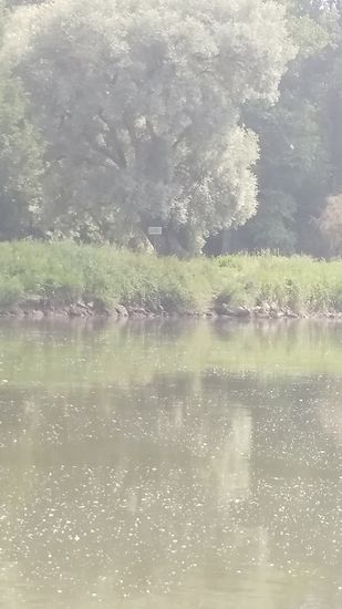 Das in Bildmitte erkennbare weiße Donau-Kilometerschild ist leider nur auf dem Originalfoto einigermaßen zu entziffern:
2485 bzw. 2486 Komma 5 bzw. 6 km bis zur Donaumündung ins Schwarze Meer.
