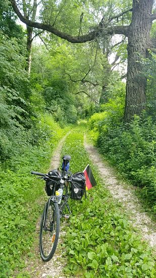 Auf der Wegfahrt vom Lechspitz mit Blickrichtung dorthin.