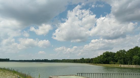 Nochmals der Blick auf die Vogelfreistätte Feldheimer Stausee.
