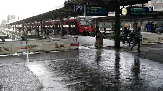 Und dann regnet's doch noch einmal recht heftig. 
Aber nur beim letzten Bahnumstieg in München Hbf.
In Holzkirchen war es wieder schön und mit gut Rückenwind behaftet, so daß ich von dort das letzte Stück Heimfahrt abradelte.
Servus und auf Wiederseh'n
bis zum nächsten Reisebericht !
Der Autor
Andreas Rohbogner, Feldolling in Oberbayern