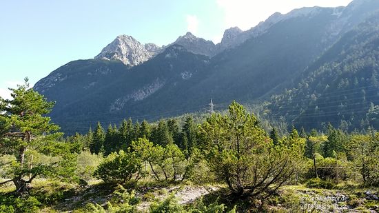 In Blickrichtung von rechts kommt ein Stück hinter den Latschenbüschen die Isar (hier nicht sichtbar) aus Richtung Scharnitz / Tirol entgegen.