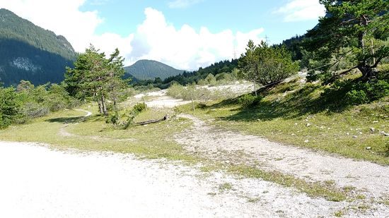 Über den linkerhand verlaufenden geschotterten Radweg fährt man auf geschwungener Fahrlinie ins südlich von Mittenwald gelegene Scharnitz.