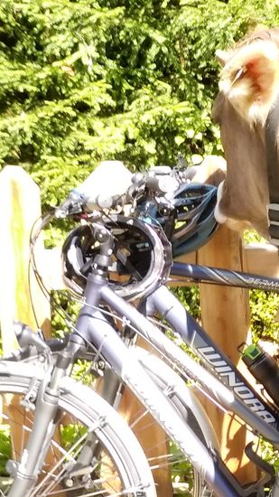 Stört sie der Radhelm?