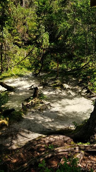 Die Quelle II drückt hier im hellen Bereich kaum merklich aus dem Boden heraus und liefert auch nicht das ganze Jahr über Wasser.