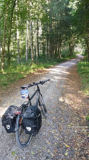 Etwa auf Höhe von Straßlach verläßt der Radweg über eine ansteigende Forststraße das Isartal über die Hanglage, wobei das durchfahrene Waldgebiet in der zweiten Vormittagshälfte schon recht angenehm kühlenden Schatten spendete.