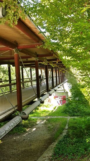 Ein letzter Blick auf die St.-Emmeram-Brücke.