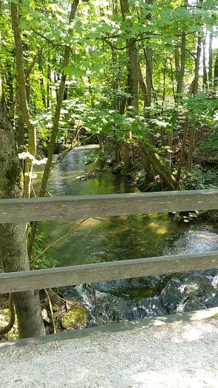 Der Seebach von der anderen Seite.