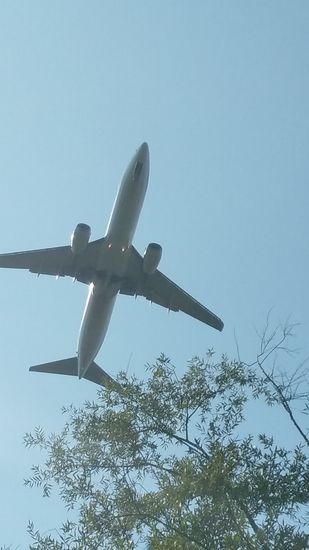 Unter der nördlichen Einflugschneise des heutigen Tages (Ostwind läßt bekanntlich die Jets aus Richtung Westen landen) befinde ich mich genau unter der Fluglinie und man kann auch deutlich zwei Positionslichter zwischen den Triebwerken erkennen.