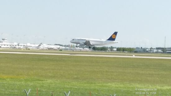 Der vorrangberechtigte, kleine Airbus kurz vor dem Aufsetzen...