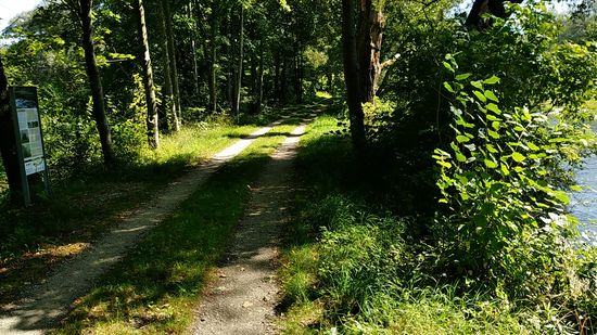 Kurz hinter Freising wähnt man sich wie mitten im Walde...