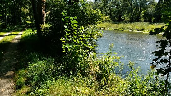 ... aber rechts fließt die Isar...