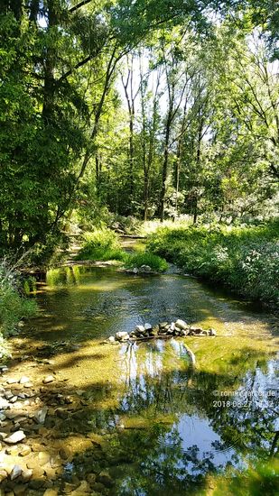 Kurz vor der Mündung der Moosach in die Isar bei Oberhummel schwenkt der Isarradweg von der Isar ab und überquert die Moosach.
