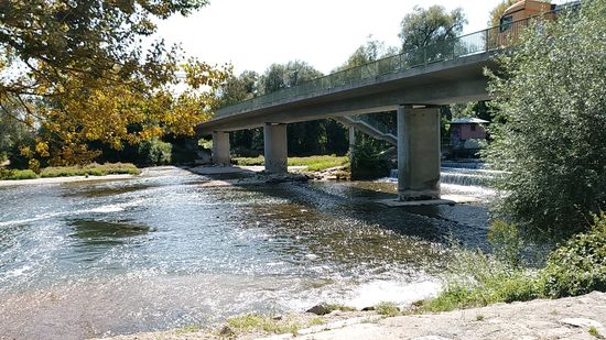 Der Mündungsbereich unterhalb der Brücke - rechts die Amper.