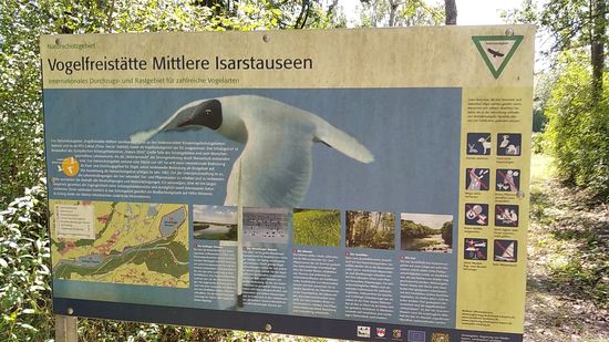 Gleich anschließend an das Mündungsgebiet führt der Radweg durch die Vogelfreistätte Mittlere Isarstauseen, ein internationales Durchzugs- und Rastgebiet für etliche Vogelarten.
Es umfasst ein Areal von 587 ha und wurde 1982 als Naturschutzgebiet ausgewiesen.
