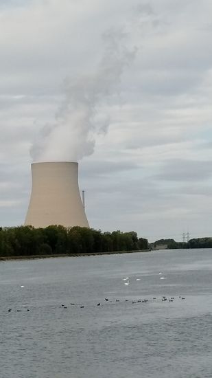 Der aufgestaute, strömungsberuhigte Bereich bietet zahlreichen Schwänen und anderen Wasservögeln, wie auch in den folgenden Bildern ersichtlich, beste Aufenthalts- und Ruhemöglichkeiten.