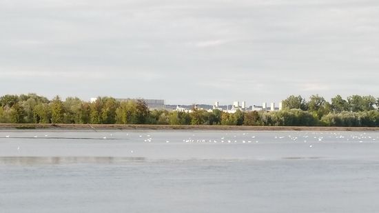 Auf der anderen Isarseite sind Teile der weitläufigen Anlagen von BMW und Zulieferern im Gewerbegebiet zu erkennen.