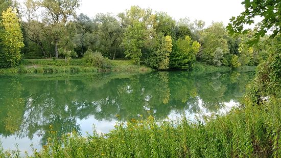 Gegen 19:00 Uhr abends ergeben sich nochmals interessante Spiegelmotive der Landschaft im ruhigen Wasser.