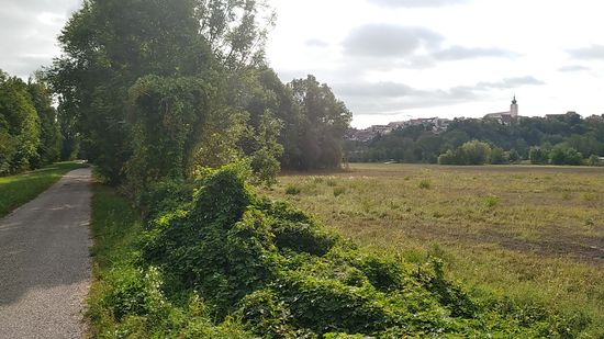 Rechterhand der Isar erscheint die "Obere Stadt" von Landau mit der Pfarrkirche
St. Maria Himmelfahrt.