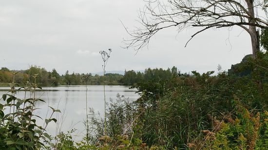 Ein Bild mit recht unauffälligem Hinweis:
Zum erstenmale ist ganz im Hintergrund in Bildmitte ein Höhenzug des Bayerischen Waldes in schwachem Mittelgrau zu "identifizieren", d.h. kurz davor verläuft die Donau von links nach rechts und das Mündungsgebiet der Isar rückt näher und näher. 
Aber diese Strecke wird noch richtig ausgekostet, da gibt es keine überzogene Eile !