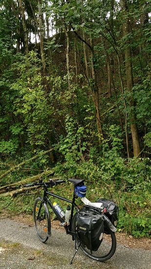 Wieder mal umgefallene Bäume von der Isarleite.