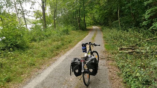 Aber die sind mittlerweile schon zersägt, damit die Stelle problemlos passiert werden kann.