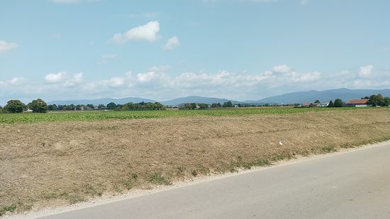 Ein paar Stimmungsbilder vom Beginn des Bayerischen Waldes am Horizont.