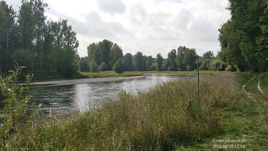Von rechts ankommend gelange ich wieder an die von oben anströmende Isar.