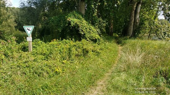 Apropos "Weg nicht verlassen": Bei dieser Flora rechts und links des Pfades bleibt man gerne "on track".