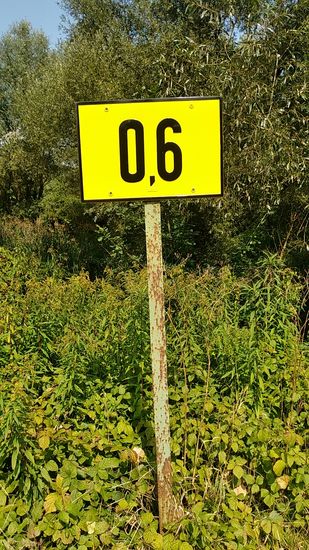600 m mehr oder weniger Buschkampf wegen der Mündungsstelle?
JA !
Bin barfuß direkt vor dem Quellloch im eiskalten Wasser des Isarursprungs im Herzen des Wettersteingebirges gestanden. 
JETZT möchte ich nicht nur, ich will so weit wie möglich vertretbar zur Mündungsstelle vorankommen und wenn ich das Rad vorher wegen Unwegsamkeit auch nicht mehr schieben, geschweige denn tragen könnte und deshalb zu Fuß weiter schreiten müsste !