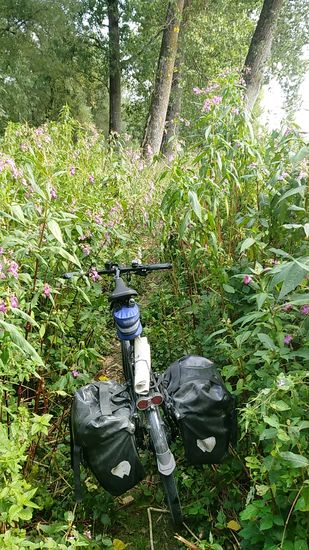 Wo soll das noch enden?