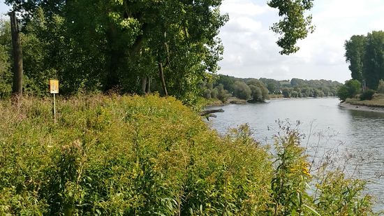 Noch 0,4 km stehen auf dem gelben Schild vermerkt. 
Hier hat man zumindest auf Augenhöhe wieder etwas Überblick in die Ferne !