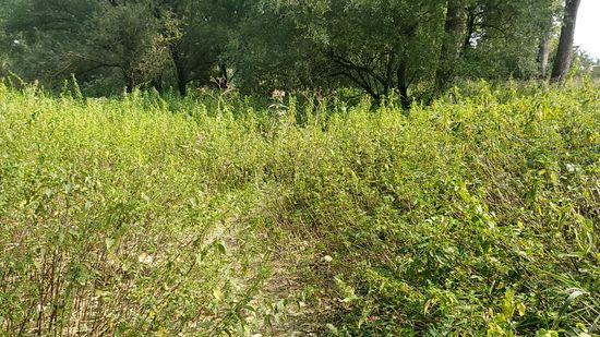 Natürlich hätte ich auch meine lange Regenhose überziehen können, aber ein paar brennende Schmerzen, kann man schon vertragen und so kurz vor dem Ziel ist das alles recht gelindert.