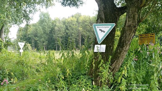 Auf dem Rückzug in der Schutzzone nochmals ein kleiner Gebots-Schilderwald.