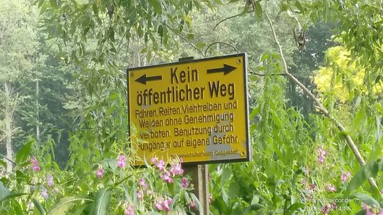 Also ich hatte mich ja, wie in diesem Bericht bereits angemerkt per E-Mail beim Infohaus Isarmündung über die technische und genehmigte Zugangsmöglichkeit in diesem Mündungsgebiet vorab erkundigt und ich wollte auch so weit wie möglich vorankommen.
Aber zum einen möchte ich die Mündungsstelle schon aufgrund der verwilderten Zugänglichkeit im letzten Teil nicht weiterempfehlen, zum anderen sollte dieses Gebiet auch eine Ruhezone bleiben und kein Anlaufpunkt für viele Radler und Wanderer werden !
Eigentlich wollte ich das Infohaus Isarmündung auch noch besuchen, aber wegen der Lage auf der anderen Isarseite und nur über weite Anfahrtswege erreichbar, wäre bis zur Schließung um 17 Uhr wenn, dann überhaupts nur wenig Zeit zur Besichtigung bereitgestanden. 
Und deswegen nochmal eine Übernachtung einzulegen, hätte mir nicht ins Zeitraster gepasst.
Aber unter anderem mit dem Gedanken an eine zukünftige Ferntour mit Startpunkt Plattling ließe sich dieser Ort in den Tourverlauf gut einbinden.