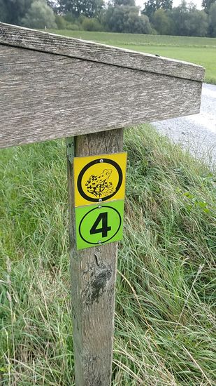 Ein Frosch wird darin kaum Unterschlupf suchen.