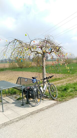 Zwischenzeitlich liegt Taufkirchen ca. 1 km hinter mir und an diesem mit bunten Eiern "natürlich bewachsenen Eierbaum" wird man so nebenbei in dieser Karwoche an das am kommenden Wochenende stattfindende Osterfest erinnert.
Und ab jetzt herrscht auch angenehm heiteres Wetter.