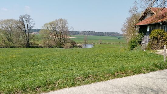 In Bildmitte sieht man ein kurzes Stück der ruhig von links nach rechts dahingleitenden Vils, die hier schmäler wirkt, als in der Stadt, dafür aber im Gegenzug tiefer sein dürfte - irgendwo muß das Wasser ja hin.