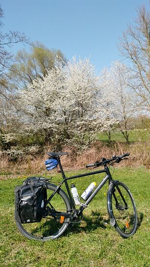 Blütenpracht an den Sträuchern tut ihr Übriges am Naturgenuss !